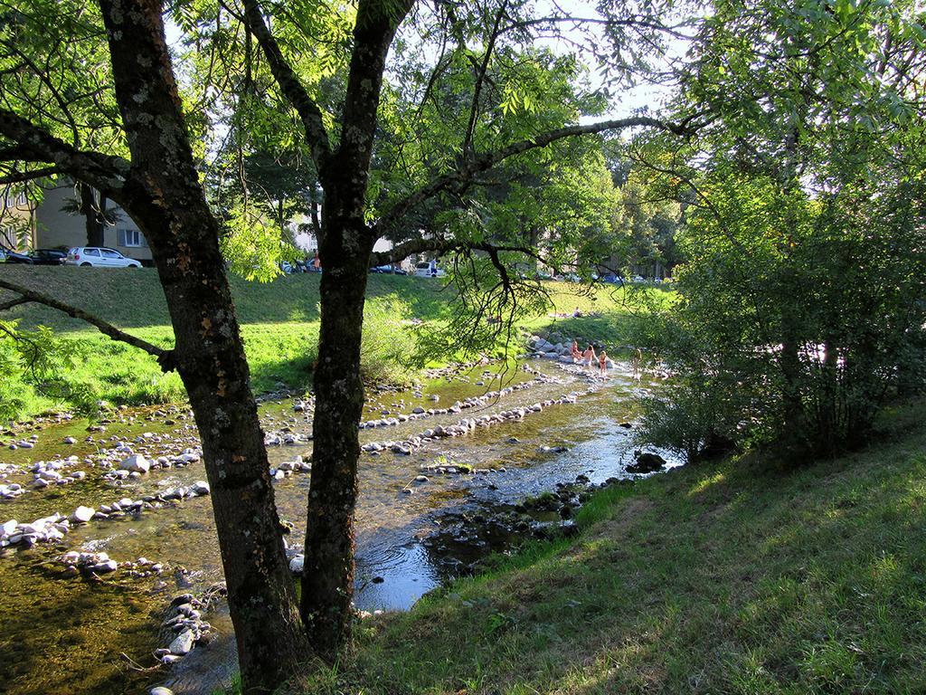 Die Sprachpension - The Language Guesthouse Vogtsburg Esterno foto