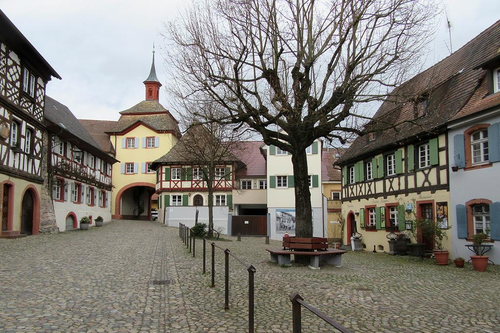 Die Sprachpension - The Language Guesthouse Vogtsburg Esterno foto