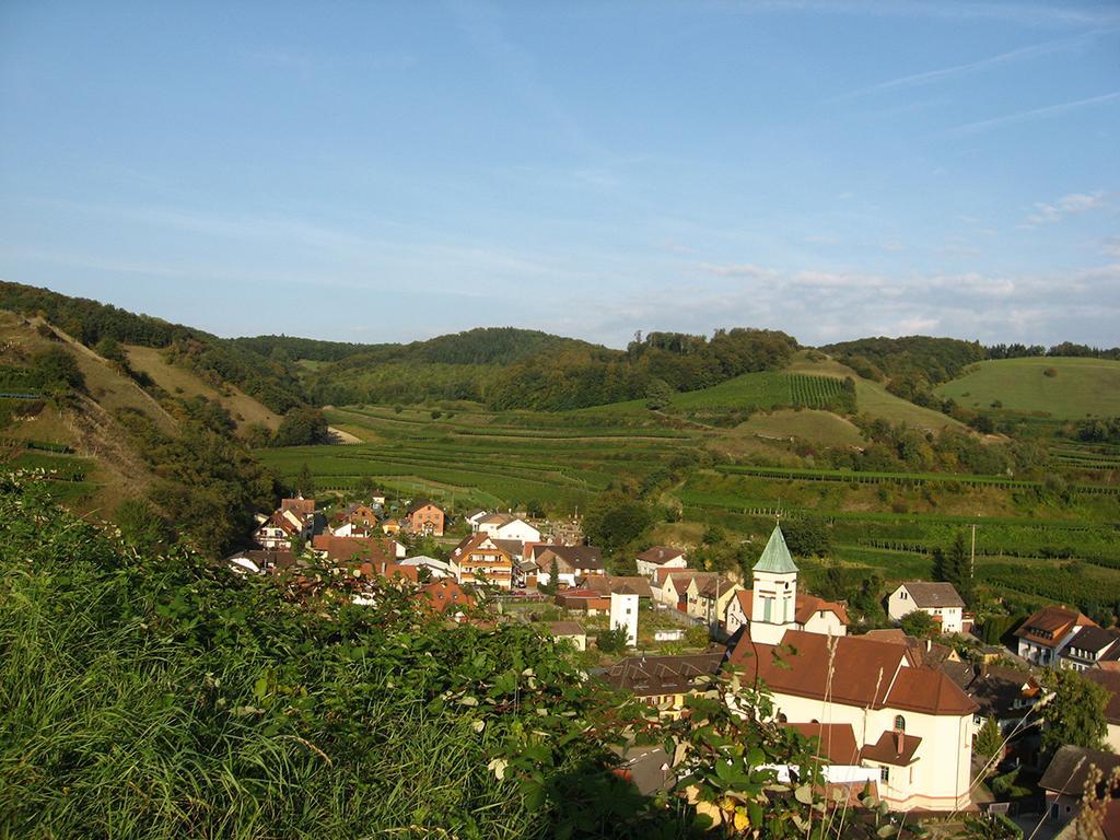 Die Sprachpension - The Language Guesthouse Vogtsburg Esterno foto