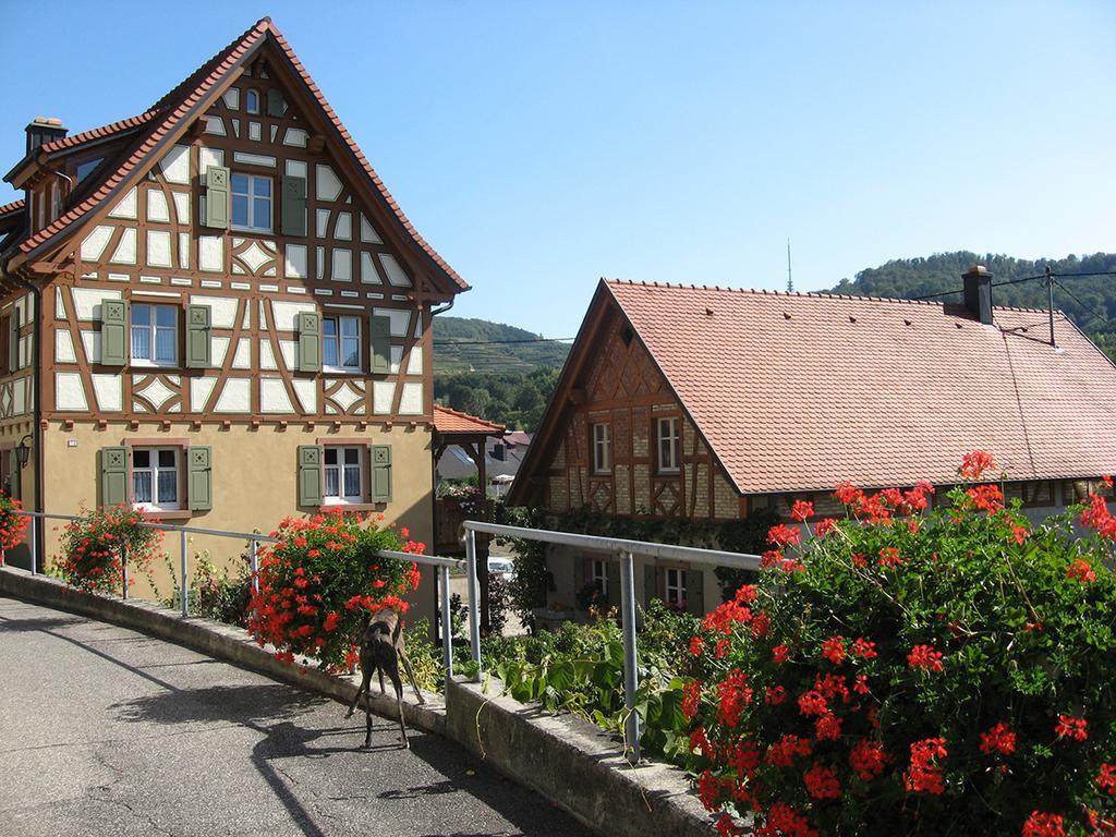 Die Sprachpension - The Language Guesthouse Vogtsburg Esterno foto