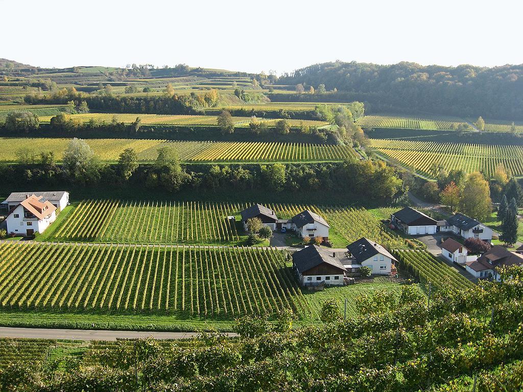 Die Sprachpension - The Language Guesthouse Vogtsburg Esterno foto
